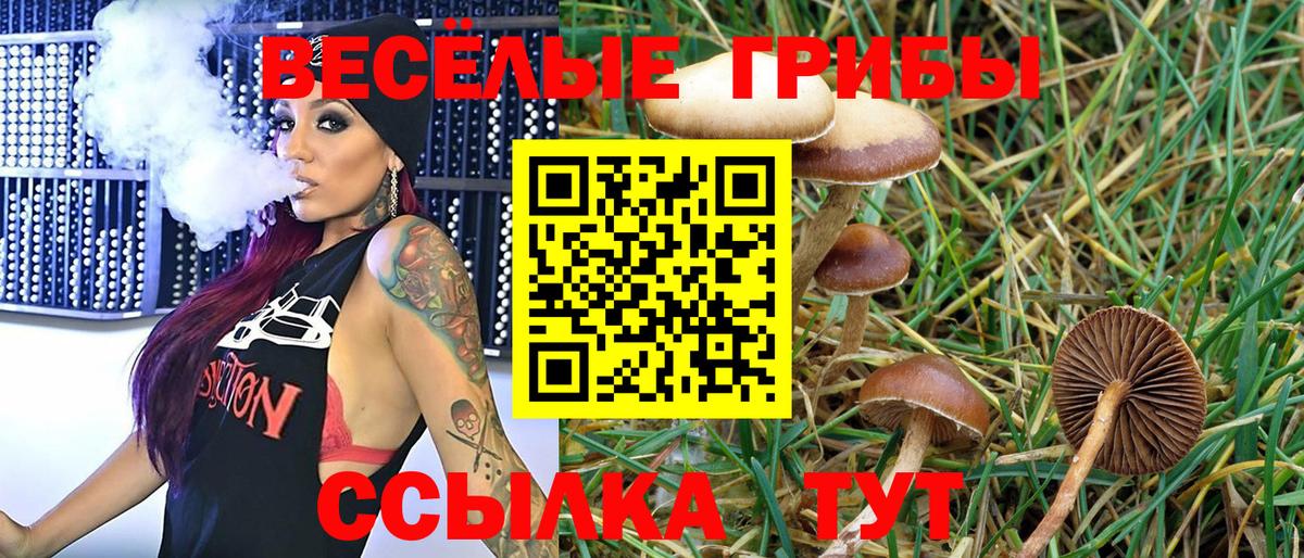 Ялта  Псилоцибиновые грибы мицелий  Вход с VPN 